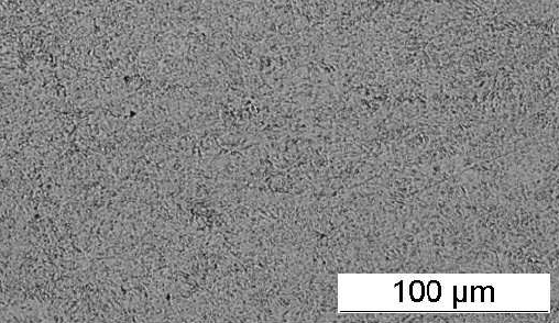 XM16 - 1.4543 – ASTM F899